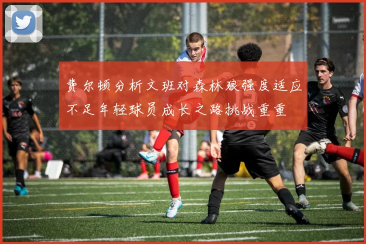 费尔顿分析文班对森林狼强度适应不足年轻球员成长之路挑战重重